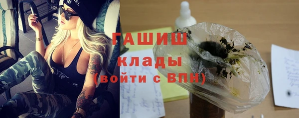 индика Верхний Тагил