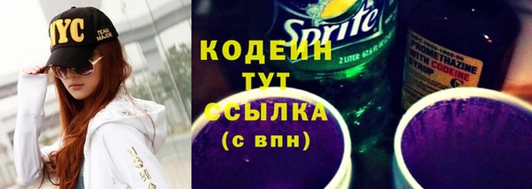 ECSTASY Бородино