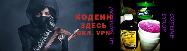 индика Верхний Тагил