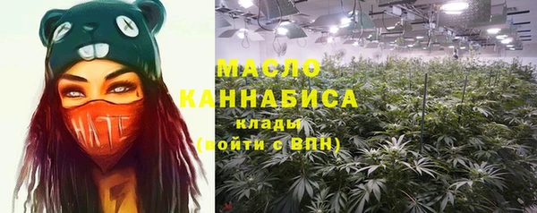 индика Верхний Тагил