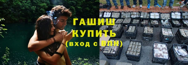индика Верхний Тагил