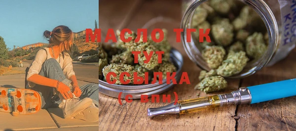 индика Верхний Тагил